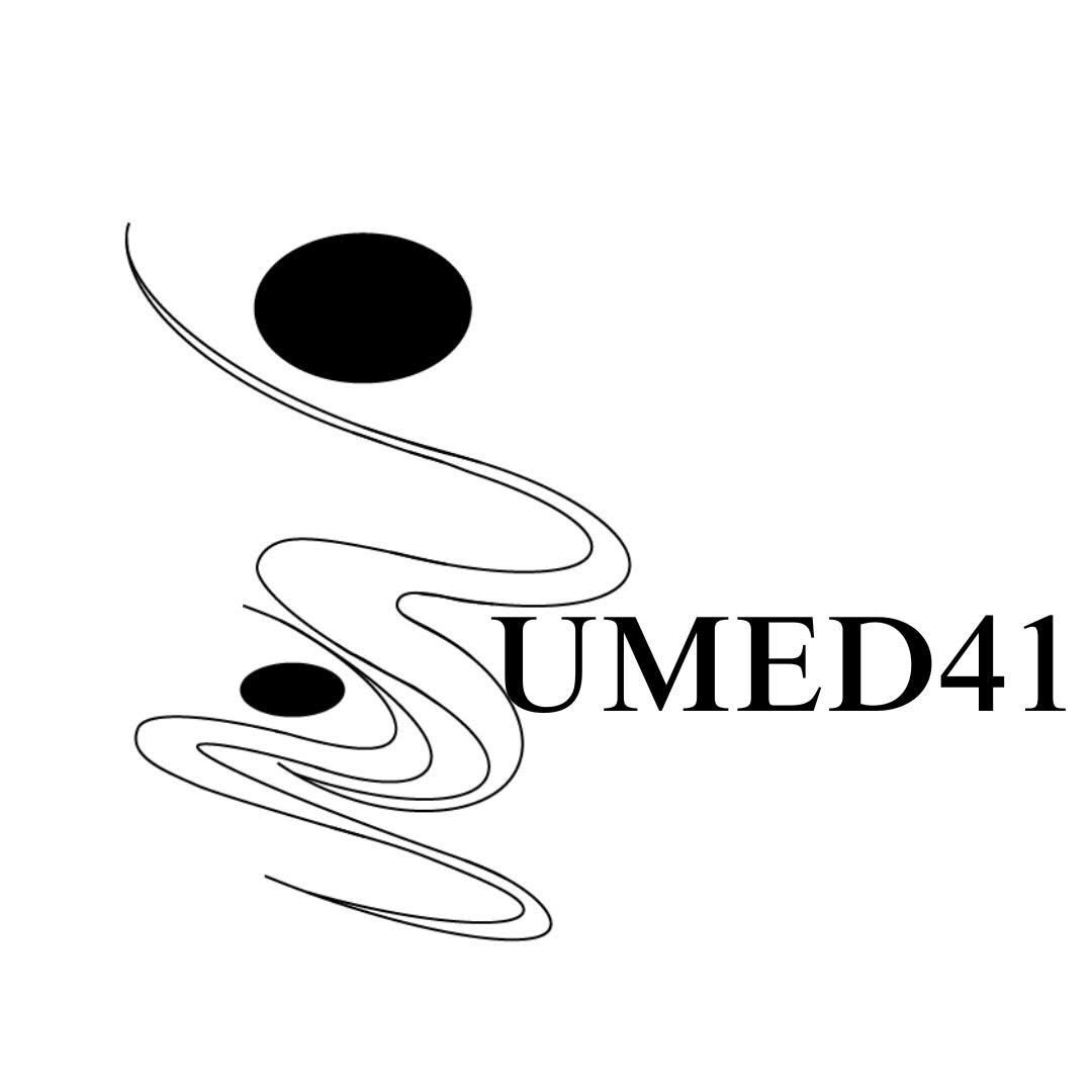 Unité Médicale Delmas 41 (UMED41)